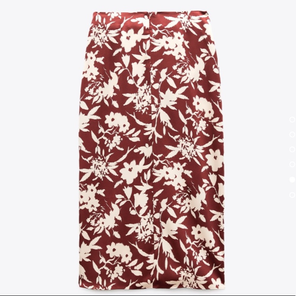 Zara skirt